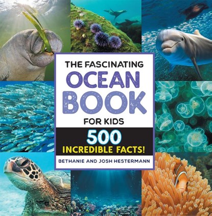 The Fascinating Ocean Book for Kids, Bethanie Hestermann ; Josh Hestermann - Paperback - 9781648768842