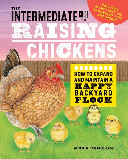 The Intermediate Guide to Raising Chickens, Amber Bradshaw - Paperback - 9781648769665