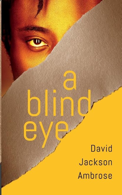 A Blind Eye, David Jackson Ambrose - Paperback - 9781648902482