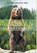 Alaskan Wilderness Adventure, Duane Arthur Ose - Gebonden - 9781648950988