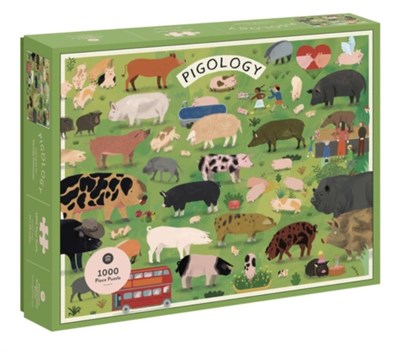 Pigology, Camilla Pintonato - Gebonden - 9781648961632
