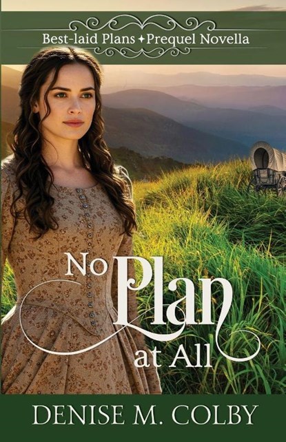 No Plan at All, Denise M. Colby - Paperback - 9781649175472