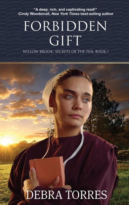 Forbidden Gift, Debra Torres - Gebonden - 9781649494214