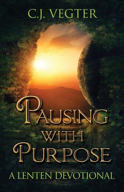 Pausing with Purpose, C. J. Vegter - Paperback - 9781649606969