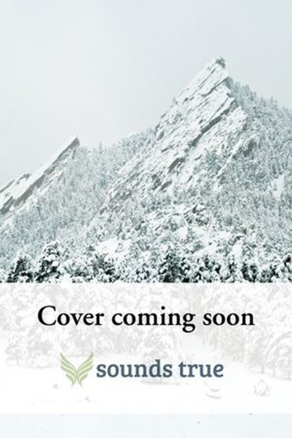 Transforming the Legacy, Cyndi Dale - Ebook - 9781649632777