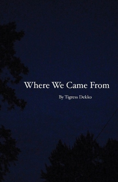 Where We Came From, DEKKO,  Tigress - Paperback - 9781649692498