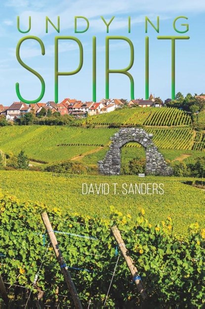 Undying Spirit, David T Sanders - Paperback - 9781649797919