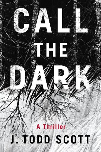 Call the Dark, J. Todd Scott - Paperback - 9781662500411