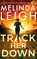 Track Her Down, Melinda Leigh - Paperback - 9781662516948