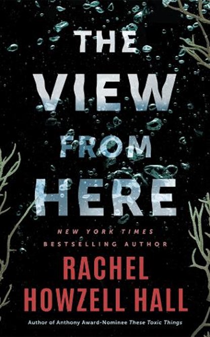 The View from Here, Rachel Howzell Hall - Paperback - 9781662538971