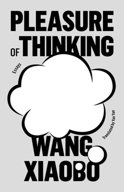 Pleasure of Thinking, Wang Xiaobo - Ebook - 9781662601262
