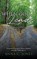 When God Leads, JONES,  Anna C - Paperback - 9781662849596