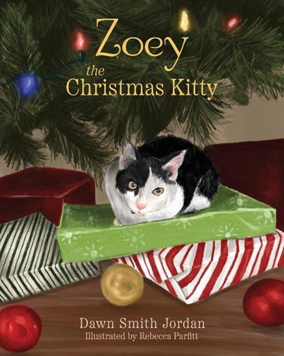 Zoey the Christmas Kitty, Dawn Smith Jordan - Paperback - 9781662859137