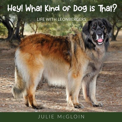 Hey! What Kind of Dog is That?, Julie McGloin - Paperback - 9781662913679