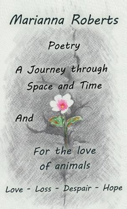 A Journey through Space and Time, Marianna Roberts - Gebonden - 9781662963018
