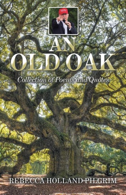 An Old Oak, Rebecca Holland Pilgrim - Paperback - 9781663248305