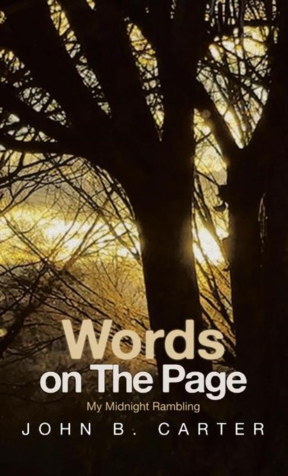 Words on The Page, John B. Carter - Gebonden - 9781663261182
