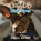 Buddy's Blue Eyes, Debbie Grimes - Paperback - 9781663265753