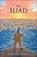 The Illiad, HINDS,  Gareth - Gebonden - 9781663618894