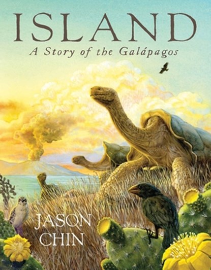 Island: A Story of the Galapagoes, Jason Chin - Gebonden - 9781663633156