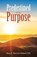 Predestined in My Purpose, NEWMAN BALDWIN,  Mary A, PhD - Paperback - 9781664204164