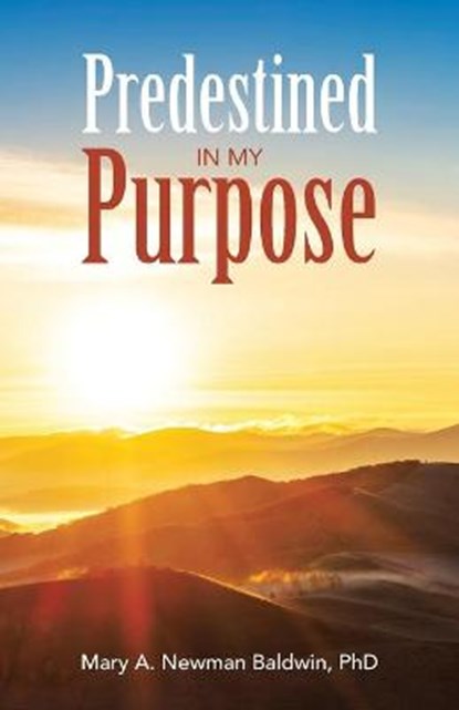 Predestined in My Purpose, NEWMAN BALDWIN,  Mary A, PhD - Paperback - 9781664204164