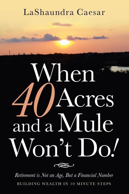 When 40 Acres and a Mule Won't Do!, Lashaundra Caesar - Paperback - 9781664219823