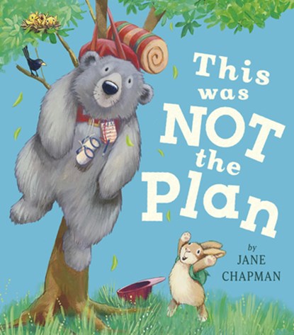 This Was Not the Plan, Jane Chapman - Gebonden - 9781664300781
