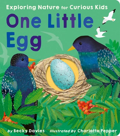 One Little Egg, Becky Davies - Overig - 9781664350557