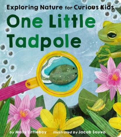 One Little Tadpole: Exploring Nature for Curious Kids, Molly Littleboy - Gebonden - 9781664351431