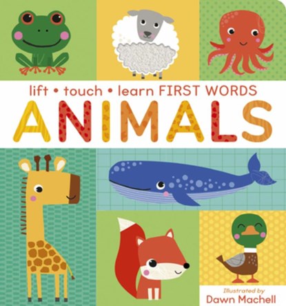 Lift Touch and Learn First Words: Animals, Villetta Craven - Gebonden - 9781664351837