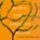 When the Apricots Bloom Lib/E, Gina Wilkinson - AVM - 9781665114530