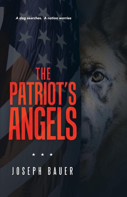 The Patriot's Angels, Joseph Bauer - Paperback - 9781665704281