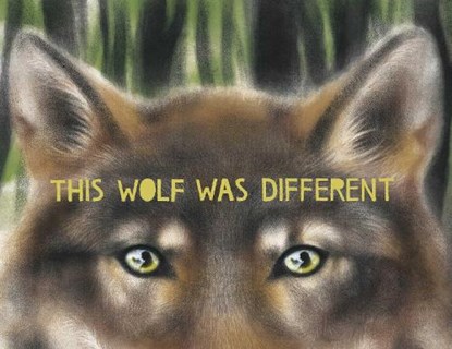 This Wolf Was Different, Katie Slivensky - Gebonden - 9781665900959