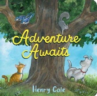 Adventure Awaits, Henry Cole - Ebook - 9781665902915