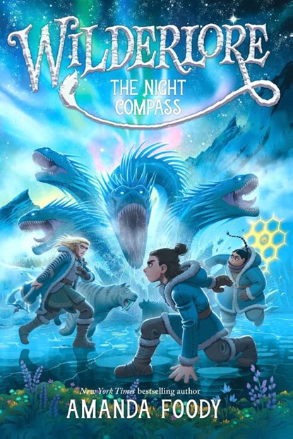 The Night Compass, Amanda Foody - Paperback - 9781665910798