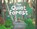The Quiet Forest, Charlotte Offsay - Gebonden - 9781665926423