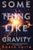 Smith, A: SOMETHING LIKE GRAVITY R/E, Amber Smith - Paperback - 9781665949576