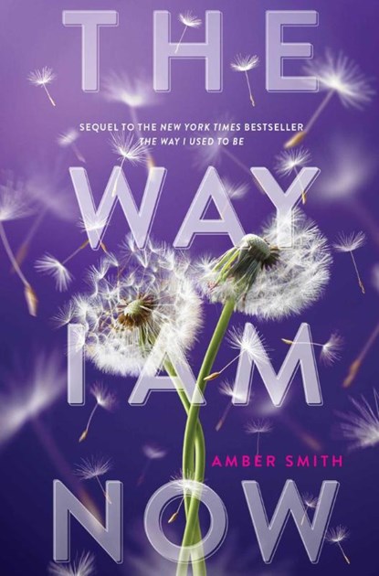 The Way I Am Now, Amber Smith - Paperback - 9781665950466