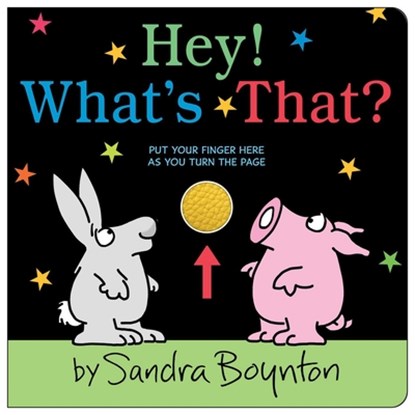 Hey! What's That?, Sandra Boynton - Gebonden - 9781665952187