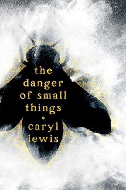 Danger of Small Things, Caryl Lewis - Gebonden - 9781665977517