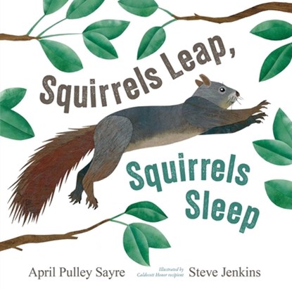 Squirrels Leap, Squirrels Sleep, April Pulley Sayre - Gebonden - 9781665980517