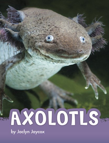 Axolotls, Jaclyn Jaycox - Paperback - 9781666342789