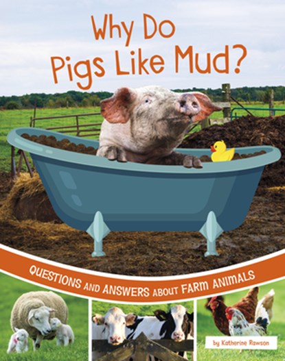 WHY DO PIGS LIKE MUD, Katherine Rawson - Gebonden - 9781666349184