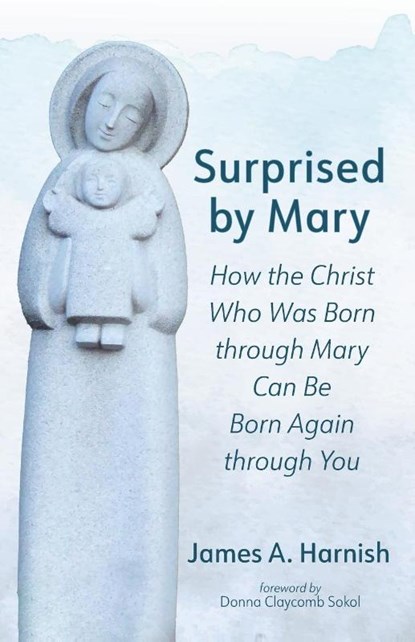 Surprised by Mary, James A. Harnish - Paperback - 9781666774221
