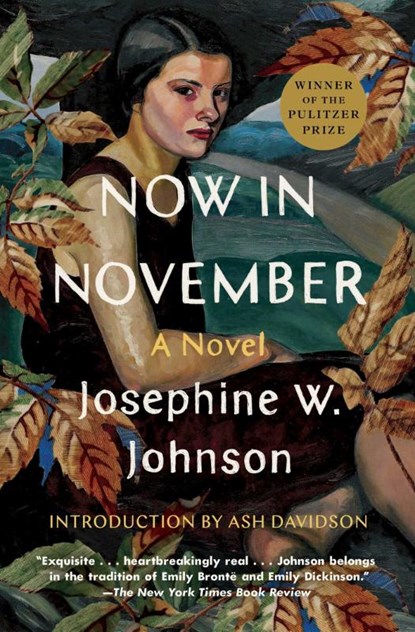 Now in November, Josephine Johnson - Paperback - 9781668004227