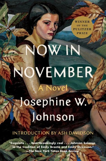 Now in November, Josephine Johnson - Paperback - 9781668004227