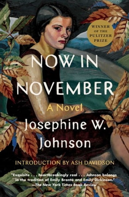 Now in November, Josephine Johnson - Ebook - 9781668004234