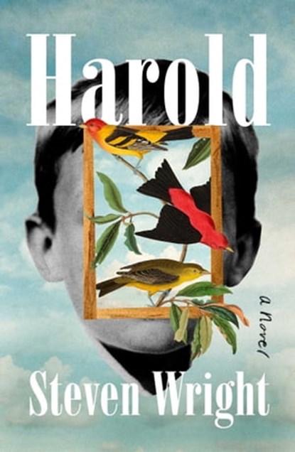 Harold, Steven Wright - Ebook - 9781668022719