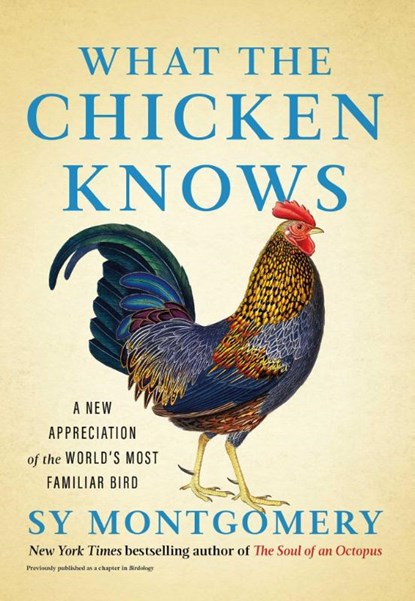 What the Chicken Knows, Sy Montgomery - Gebonden - 9781668047361